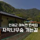 자작나무숲민박 이미지