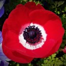 영화 행정사 사무소 이미지