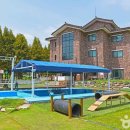 익산애견테마파크 이미지