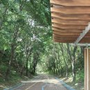 새마을로3길-3 이미지