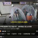 박성은(31) 송파개표소 앞 노숙 17일째 '6.3 지선' 20260624 서울外 이미지