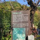 법기수원지 | 🍁 양산 법기수원지 단풍 여행 후기 — 고요함 속에 물든 가을의 색