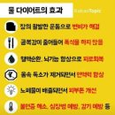 잼있는점핑체온다이어트 이미지