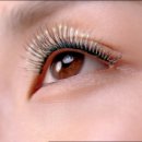 래쉬티비 이미지