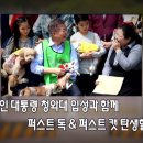 퍼스트독, 캣 이미지