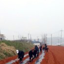 주포면사무소 이미지