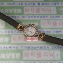 S0084 | 스톤헨지S0084 정품 시계약교체 후기입니다 [대구시계수리/스톤헨지시계수리]