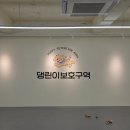 댕린이 보호구역 이미지