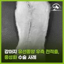 해오름동물병원 - 성남시 중원구 희망로 402 | 해오름동물병원