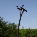 정목초교 이미지