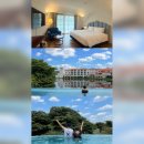 보보스스파랜드휘트니스 | 제주 조천: 에코랜드 호텔 슈페리어 더블 숙박 수영장가는길과 수영장 찐 후기