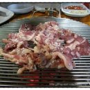 영진오리농장 이미지