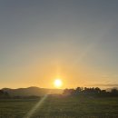 히든자왈 이미지