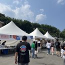 대진항(문어축제장) 이미지