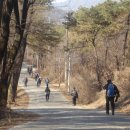 쌍용대로 이미지