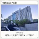 노벨전자 | 홍천 비발디파크 소노벨 C동 객실 후기 오션월드 패키지 이용팁