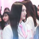 초연 Daum카페