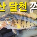 달천계곡 하류 이미지