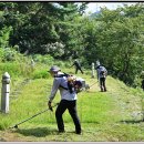 조금초등학교 이미지