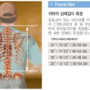 Re:등판토르소길이 이미지