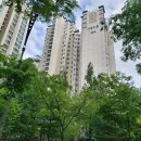 가람마을1단지아파트 정류장 네이버블로그