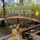 서면농장 | [부산] 서면 감성 힐링 카페 '도시농가코페도코' 비오는날 후기