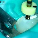 트리지움치과의원 이미지