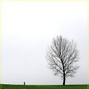 학원목장 이미지