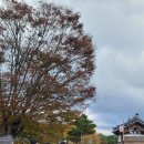 여강중학교 이미지