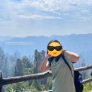 (주)신화테크 | [일상/해외여행/중국] 중국 장가계 3박 5일 패키지 여행 Ep. 3일차