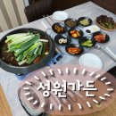 송정택지1길 | 평창 맛집 성원가든 추천메뉴 파돼지물갈비 후기