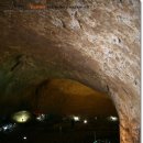 수정-119 이미지