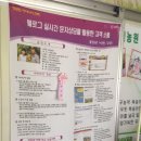 풀잎환경