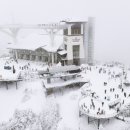 발왕산 관광케이블카 코스 이미지