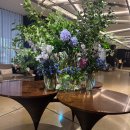 이코노미호텔 명동 프리미어점 | [더 플라자 호텔 서울]프리미어 스위트 룸 3인 숙박 후기