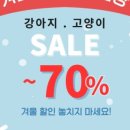 김해 강아지분양 고양이분양 똥강아지 이미지