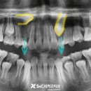 LH치과의원 이미지