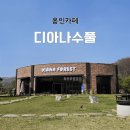 남사-19 | 용인 카페 [디아나수풀] 남사카페/애견동반/내돈내산/솔직후기