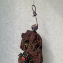 석곡(화산) 이미지