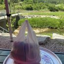 월성계곡산장 | 경남거창맛집 월성계곡산장 촌닭백숙 후기