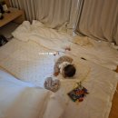 방이점현대자동차 | 신라스테이 전주 7개월 아기랑 온돌방 이용 후기(+수유실)