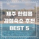 말깡거리 | 제주 한림읍 분위기 좋은 인스타 감성 독채숙소 BEST 5+링크･ﾟ✧
