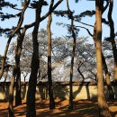 신라고등학교 이미지