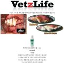 벳츠라이프 이미지