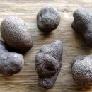 약이 되는 산야초 이미지