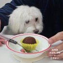 나그미커피 | [역삼 카페] "카페 두댓" 두쫀쿠 💝 내돈내산 테이크아웃 후기