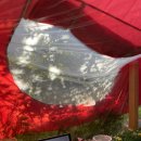 자담치킨(운정점) 이미지