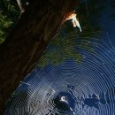 우화등선 이미지