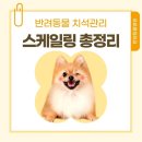 한양동물병원 이미지