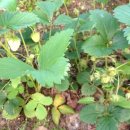 원주암어린이집 이미지